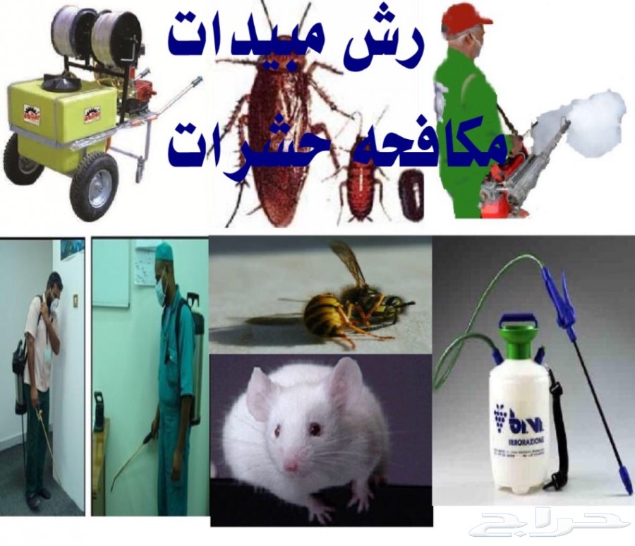 900x773-1_-58a18e0db9d76